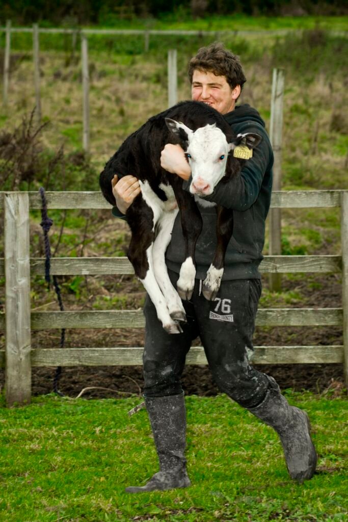 publicity/advertising photos for broom mill farm west auckland sony a 850